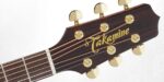 Takamine P5DC - Image 3