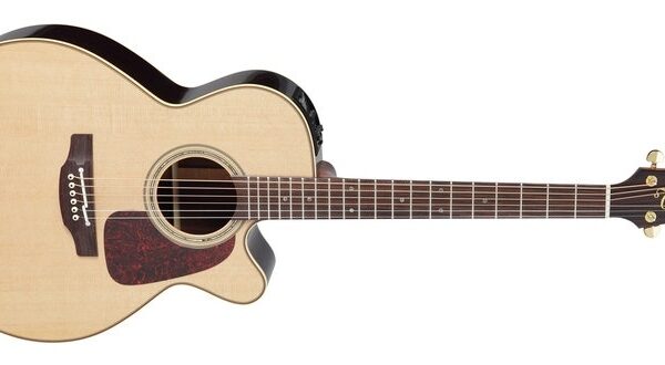 Takamine P5NC