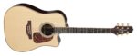 Takamine P7DC - Image 7