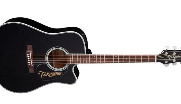 Takamine EF341DX, Dreadnought