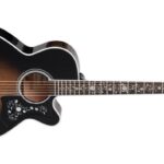 Takamine EF450C-TT-TBB
