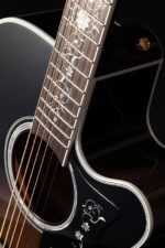 Takamine EF450C-TT-TBB - Image 8