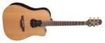 Takamine GB7C Garth Brooks