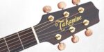 Takamine GB7C Garth Brooks - Image 5
