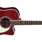 Takamine JJ325SRC - elektroakustinė gitara Dreadnought