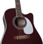 Takamine JJ325SRC John Jorgenson - Image 2