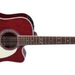 Takamine JJ325SRC-12 - elektroakustinė gitara Dreadnought 12-stygė