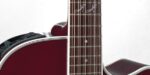Takamine JJ325SRC-12 John Jorgenson - Image 2