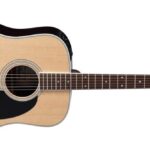 Takamine EF360GF - elektroakustinė gitara Dreadnought