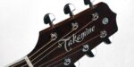 Takamine EF360GF Glenn Frey - Image 2