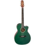 Takamine LTD2025
