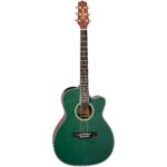 Takamine LTD2025 - Image 10