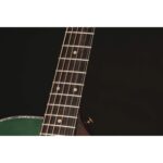 Takamine LTD2025 - Image 4