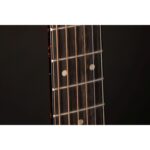 Takamine LTD2025 - Image 7