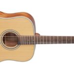 Takamine GD20-NS