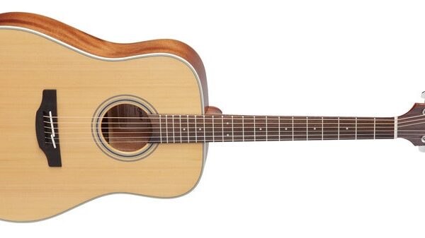 Takamine GD20-NS