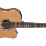 Takamine GD20CE-NS - elektroakustinė gitara Dreadnought