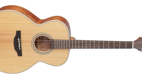 Takamine GN20-NS