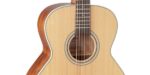 Takamine GN20-NS - Image 2