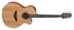 Takamine GN20CE-NS