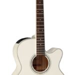 Takamine GN37CE-PW - elektroakustinė gitara NEX