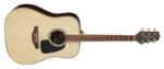 Takamine GD51-NAT