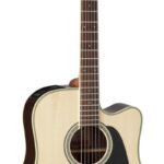 Takamine GD51CE-NAT