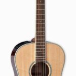 Takamine GY51-NAT