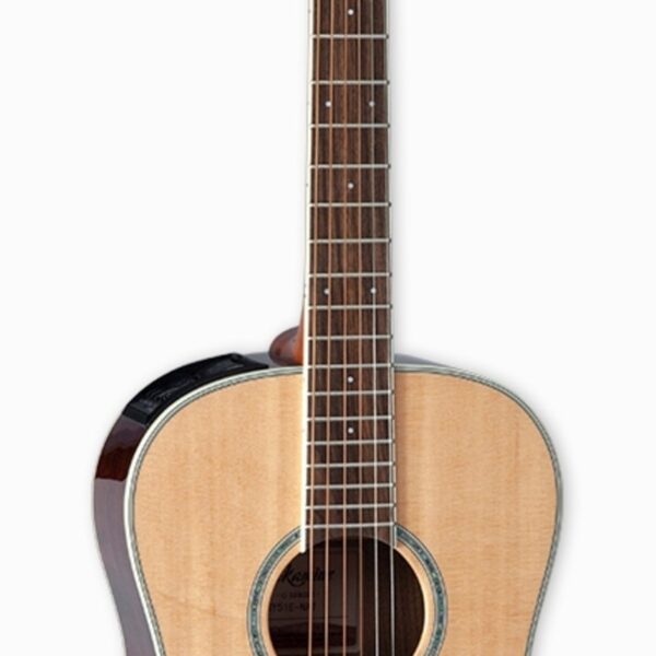 Takamine GY51-NAT
