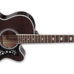 Takamine GN75CE Transparent Black