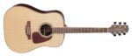 Takamine GD93-NAT - Image 5