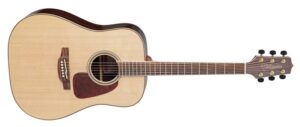 Takamine GD93-NAT