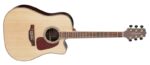 Takamine GD93CE-NAT