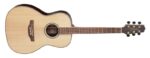 Takamine GY93-NAT