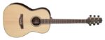 Takamine GY93E-NAT