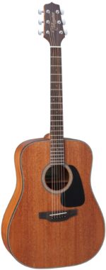 Takamine GD11M-NS