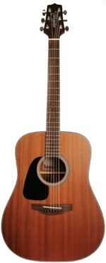 Takamine GD11M-NS-L