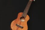 Takamine GU-C1 Soprano Ukulele, Mahogany - Image 3