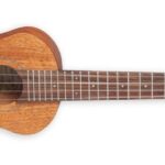 Takamine EGU-C1 - koncertinė ukulėlė su pikapu