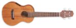 Takamine EGU-C1 Concert Ukulele with pickup.