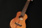 Takamine GU-S1 Sopran Ukulele - Image 2