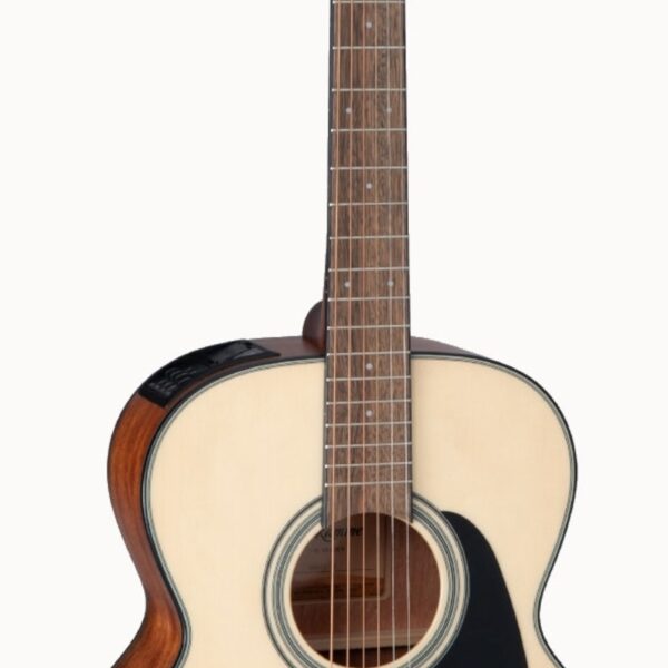 Takamine GLN12E-NS, Nex Body