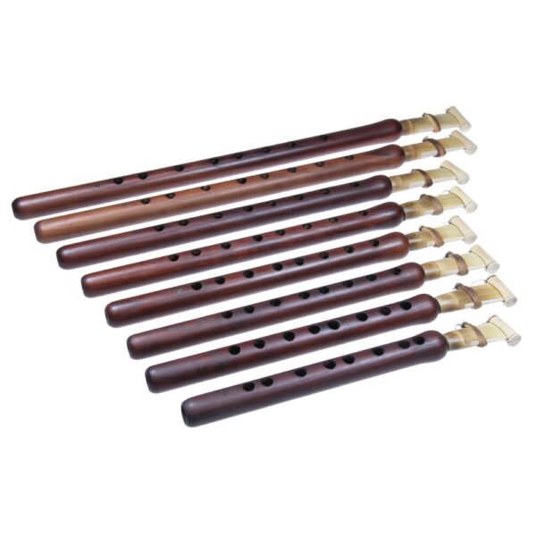 Dudukas specialiomis dermėmis