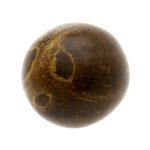 Kokosinis kiaušinio šakutis