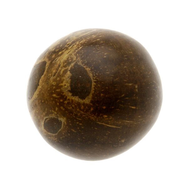 Kokosinis kiaušinio šakutis