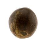 Kokosinis kiaušinio šakutis - Image 2