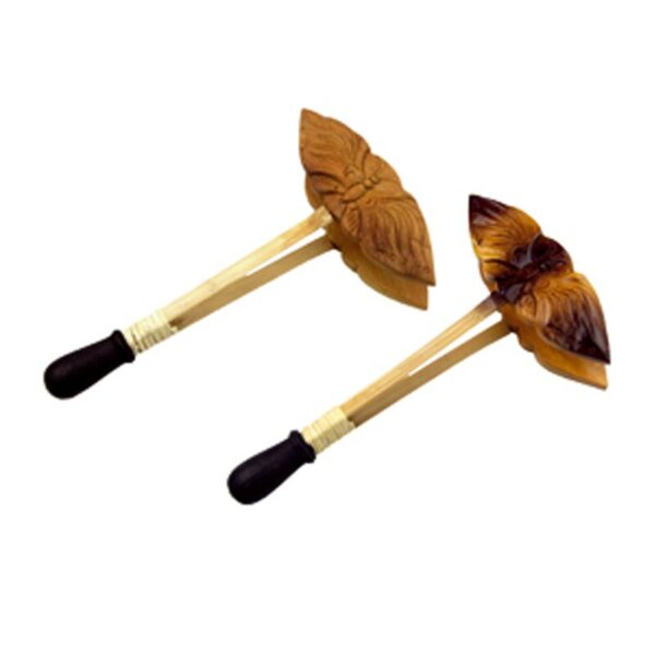 Medinis Vabzdys (Sanh Sua)