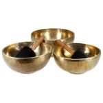 Dainuojantis dubuo Sakya - Image 3