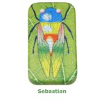 Čirškiantys vabaliukai - Image 7