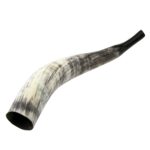 Galvijų ragas - Image 5